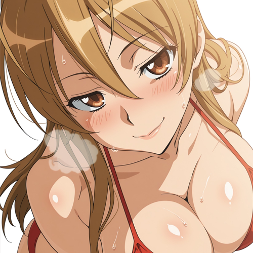 HIGHSCHOOL OF THE DEAD